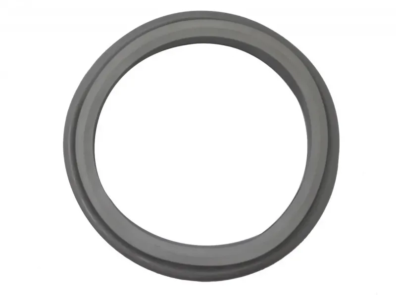 FUELLE BOSCH MAXX 1000-600 THERMO M./NUEVOPATRICK LPK05 (ORI - Imagen 1